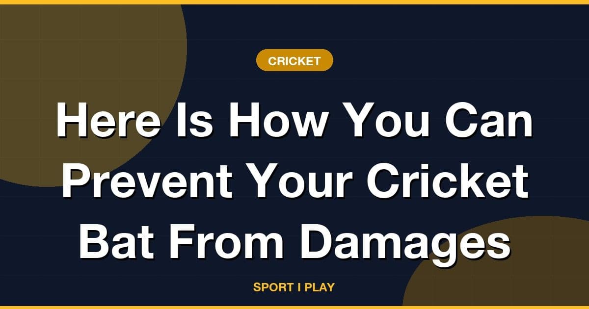Here Is How You Can Prevent Your Cricket Bat From Damages
